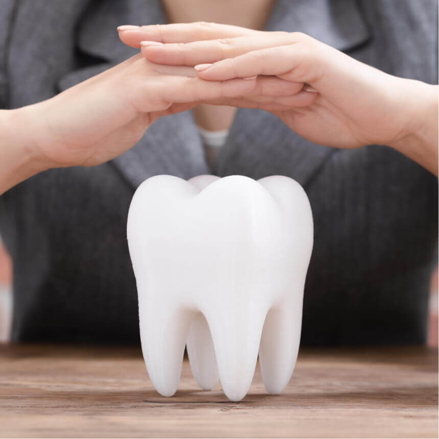Endodontie zahnaufbau
