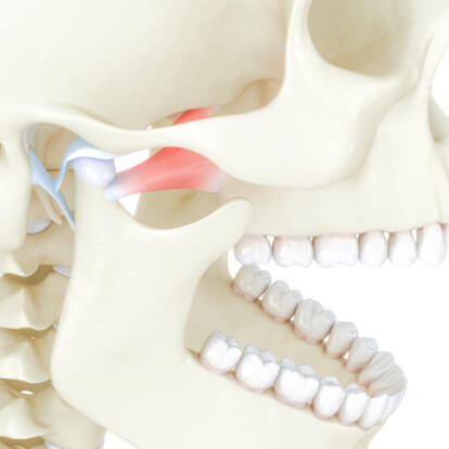 Endodontie zahnaufbau